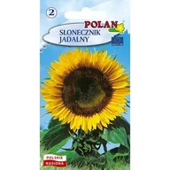 Nasiona i cebule - Słonecznik Jadalny Polan - miniaturka - grafika 1