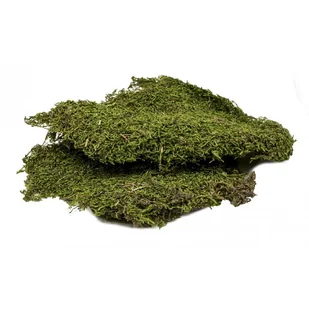 Mech Suszony Do Terrarium Płaty 500G Flat Moss Bioterr - Dekoracje do terrarium - miniaturka - grafika 1