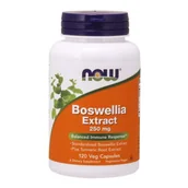 Witaminy i minerały - PRO NATURA NOW FOODS Boswellia Extract 250 mg 120 kaps - miniaturka - grafika 1