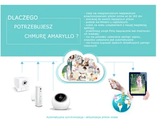 Plan abonamentowy PLATINUM 365/1rok - Kamery do monitoringu - miniaturka - grafika 5