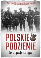 Militaria i wojskowość - Polskie podziemie w oczach wroga - miniaturka - grafika 1
