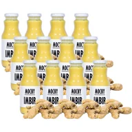 Soki i napoje niegazowane - 12x Naturalny sok wyciskany NFC Imbir Sadvit 250ml - miniaturka - grafika 1