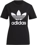 Koszulki sportowe damskie - adidas Adicolor Classics Trefoil Tee GN2896 Rozmiar: 36 - miniaturka - grafika 1