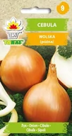 Nasiona i cebule - Cebula WOLSKA (późna)
Allium cepa L. - miniaturka - grafika 1