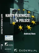 E-booki - biznes i ekonomia - Karty płatnicze w Polsce - miniaturka - grafika 1
