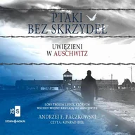 Audiobooki - literatura piękna - Ptaki bez skrzydeł - miniaturka - grafika 1