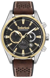 Zegarek Timberland Zegarek TBL.TDWGC2102402 ALDRIDGE - - Zegarki męskie - miniaturka - grafika 1