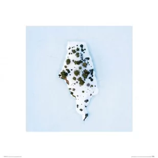 Śnieżna Wyspa - Reprodukcja - Plakaty - miniaturka - grafika 1