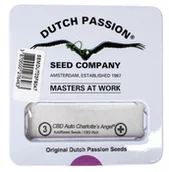 Nasiona i cebule - Nasiona konopi CBD Dutch Passion - CBD Auto Charlotte's Angel (Fem.) 3szt. - miniaturka - grafika 1