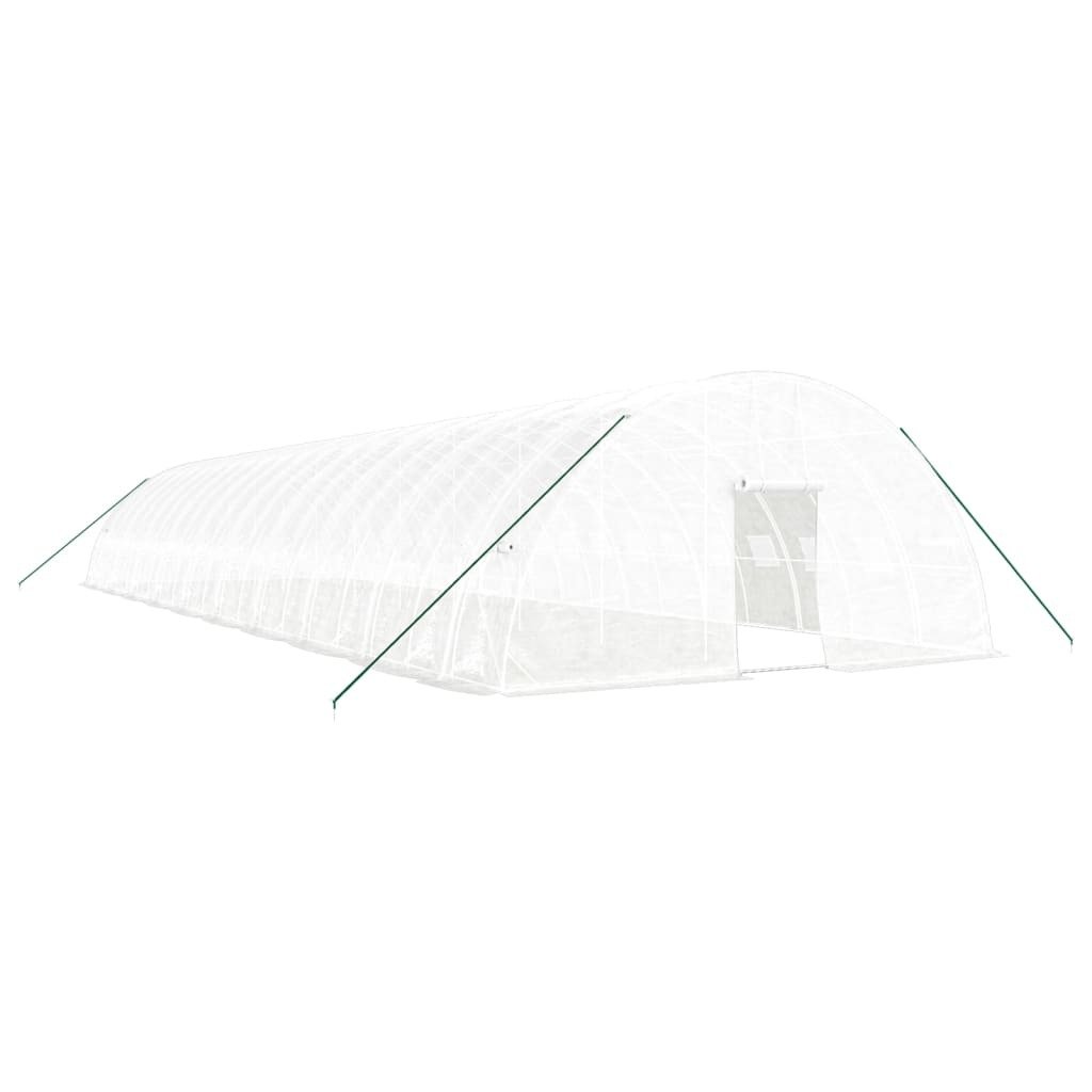 Prolenta Premium - Szklarnia z ramą stalową biała 120 m² 20x6x2,85 m