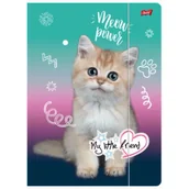 Teczki i skoroszyty - Teczka A4 z gumką My little friend - miniaturka - grafika 1