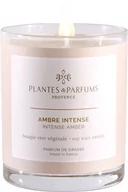 Świece - PLANTES&PARFUMS PROVENCE Świeca zapachowa perfumowana - Intense Amber - Drogocenna Ambra 070216 - miniaturka - grafika 1