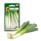 Nasiona i cebule - Por 'STAROZAGORSKI-KAMUSH' odmiana wczesna Świeże Nasiona Naturalne 1g - miniaturka - grafika 1