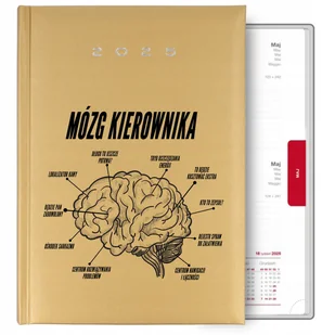 ZŁOTY KALENDARZ KSIĄŻKOWY A5 2025 PLANER PREZENT DLA SZEFA MÓZG KIEROWNIKA - Notesy i bloczki - miniaturka - grafika 1