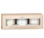 Świece - PLANTES&PARFUMS PROVENCE ZESTAW 3 Świec zapachowych perfumowanych - kolekcja Fall/Winter - Frosted Rose - By the Fireside - Walk in the Snow 900247 - miniaturka - grafika 1