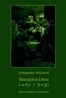 Kulturoznawstwo i antropologia - Starożytna Litwa. Ludy i bogi. Szkice mitologiczne i historyczne. Seria: Biblioteka tradycji europejskiej - miniaturka - grafika 1