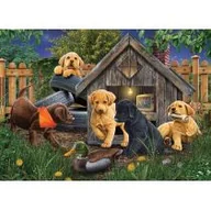 Puzzle - Cobble Hill Puzzle 1000 Zabawa na całego - Cobble Hill - miniaturka - grafika 1