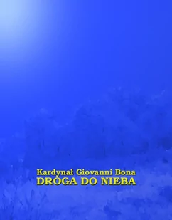 Droga do nieba - E-booki - religia - miniaturka - grafika 1
