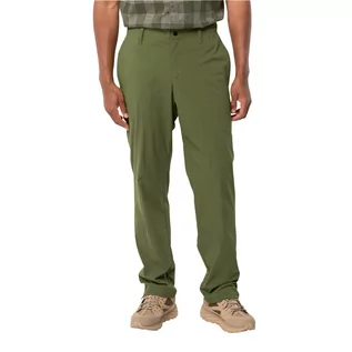 Spodnie męskie - Męskie spodnie Jack Wolfskin DESERT PANTS M greenwood - 56 - grafika 1