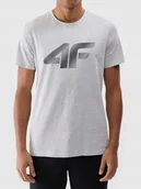 Koszulki męskie - KOSZULKA MĘSKA TTSHM2257 4F L - miniaturka - grafika 1