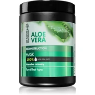 Maski do włosów - Sante Dr Aloe Vera 1000 ml Maska do włosów intensywnie regenerująca Dr - miniaturka - grafika 1