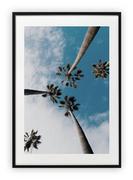Plakaty - Plakat B1 70x100 cm Plaża palmy wakacje niebi WZORY - miniaturka - grafika 1