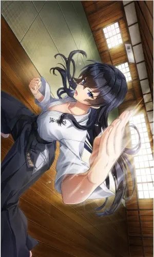 Plakat Anime Dolphin Wave DELPHW_039 A3 (custom)
