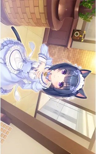Plakat Anime Manga Nekopara np_098 A3 (custom)