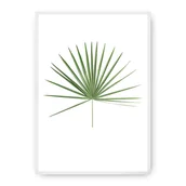 Plakaty - Dekoria Dekoria Plakat Tropical Leaf Green 70 x 100 cm Ramka Biała 223F-000-14 - miniaturka - grafika 1