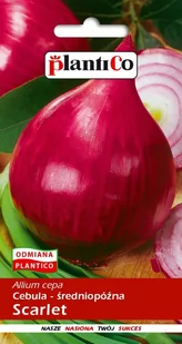 Plantico Cebula czerwona średniopóźna Scarlet Allium cepa 5g - Nasiona i cebule - miniaturka - grafika 1