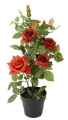 Sztuczne kwiaty - Rosenbusch w doniczce, sztuczne kwiaty, sztuczne drzewo, sztuczne kwiaty, kwiaty, doniczki, dekoracja na ślub - miniaturka - grafika 1