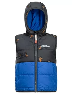 Kurtki i płaszcze dla chłopców - Jack Wolfskin GLEELY INS HOODED VEST K, Sky nordyckie, 104 - grafika 1