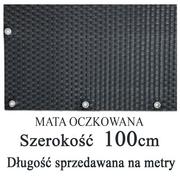 Parawany - Mata,osłona balkonowa OCZKOWANA z technorattanu, kolor stalowy, szerokość 1,00 m - miniaturka - grafika 1