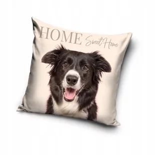 POSZEWKA na poduszkę PIES Border Collie 40x40 cm - Poszewki na poduszki - miniaturka - grafika 1