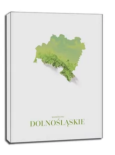 Dolny Śląsk mapa kolorowa - obraz na płótnie Wymiar do wyboru: 30x40 cm - Obrazy i zdjęcia na płótnie - miniaturka - grafika 1