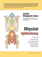 Pozostałe książki - Mięsień lędźwiowy: Klucz do fizycznego, emocjonalnego i duchowego dobrostanu - miniaturka - grafika 1