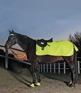 Derki dla konia - Waldhausen Derka REFLEX - neon yellow - miniaturka - grafika 1