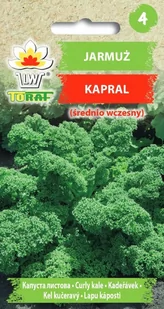 Toraf Jarmuż Kapral nasiona warzyw 1g 00110 - Nasiona i cebule - miniaturka - grafika 1