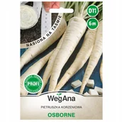 Nasiona i cebule - Pietruszka korzeniowa późna Osborne nasiona na taśmie 6m WegAna - miniaturka - grafika 1