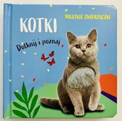 Książki edukacyjne - Kotki. Milutkie zwierzaczki. Dotknij i poznaj - miniaturka - grafika 1