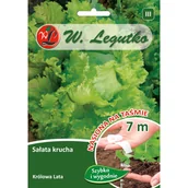 Nasiona i cebule - Sałata lodowa krucha Królowa lata nasiona na taśmie 7 m W. Legutko - miniaturka - grafika 1