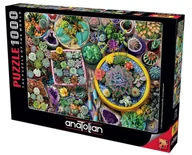 Puzzle - Puzzle 1000 Kaktusy Nowa - miniaturka - grafika 1