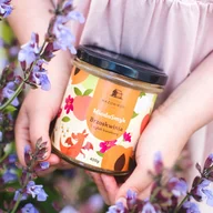 Miód - MiodoSmyk z brzoskwinią i pyłkiem kwiatowym / Bartnik Mazowiecki - miniaturka - grafika 1