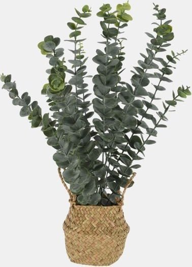 Sztuczna roślina eukaliptus w koszyku, 50 cm