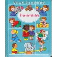 Książki edukacyjne - Olesiejuk Sp. z o.o. Przeciwieństwa. Obrazki dla maluchów Emilie Beaumont, Nathalie Belineau - miniaturka - grafika 1