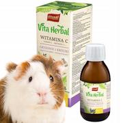 Vitapol Vita Herbal Witamina C dla gryzoni i królika 100 ml