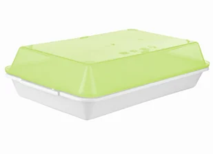 POJEMNIK KUCHENNY PROSTOKĄTNY Z PRZYKRYWKĄ DO LODÓWKI NA CIASTO 29X18 - Pojemniki kuchenne POJEMNIK KUCHENNY PROSTOKĄTNY Z PRZYKRYWKĄ DO LODÓWKI NA CIASTO 29X18 - Pojemniki kuchenne - miniaturka - grafika 1