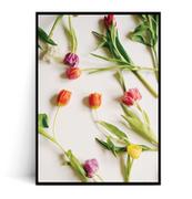 Plakaty - Fox Art Studio, Plakat, Tulipany Wiosenne,  wymiary 30x40 cm - miniaturka - grafika 1