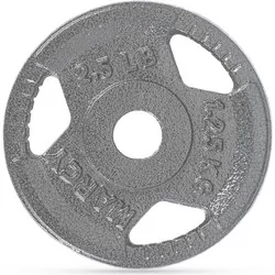 Obciążenie żeliwne kierownica 1,25kg 30mm Gymtek - Obciążenia - miniaturka - grafika 1