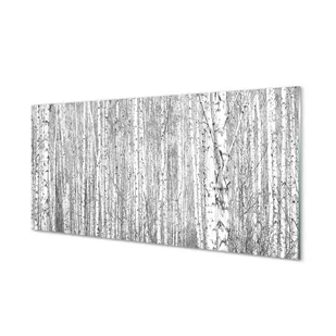 Lacobel szkło Czarno-białe drzewa las 120x60 cm - Dekoracje domu - miniaturka - grafika 1